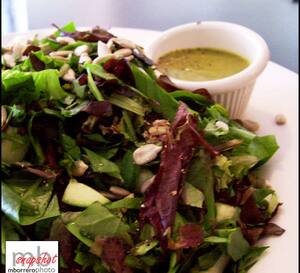 Mustard Seed Bistro Plantation Miami Mustard Seed Bistro Plantation Miami